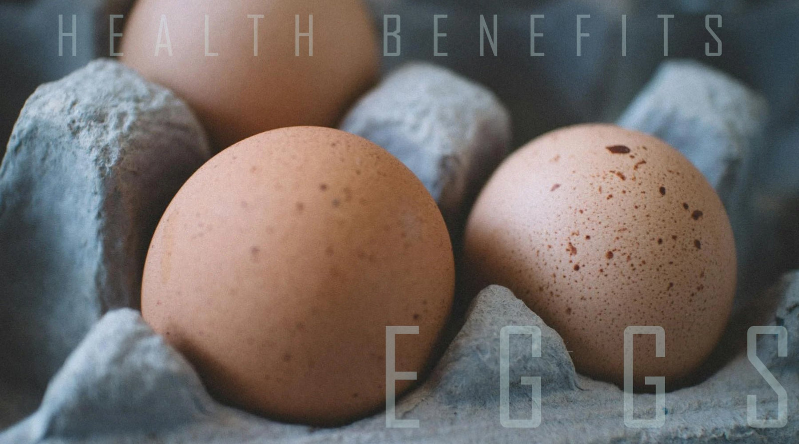 8 Amazing Health Benefits of Eggs - Tee Shop USA