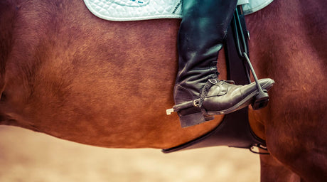 Horseback Riding Tips for Serious Riders