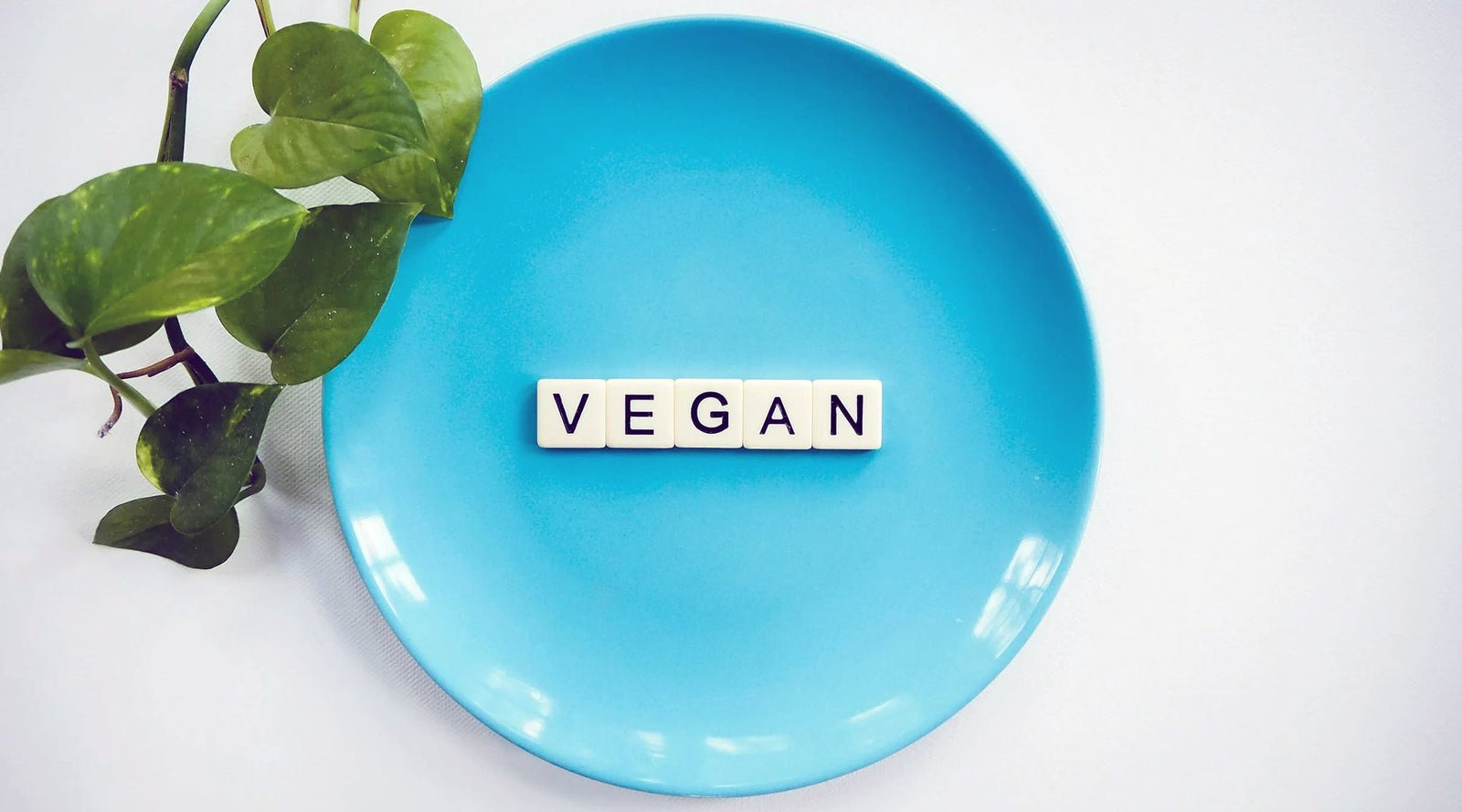 Reasons to Go Vegan - Tee Shop USA