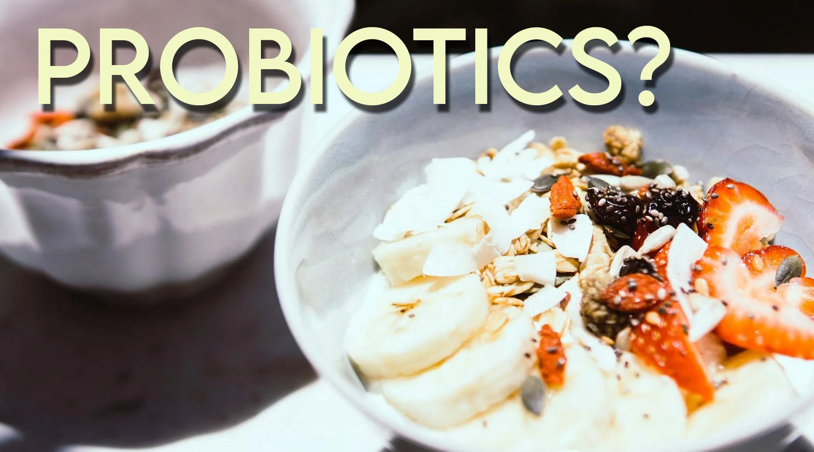 What Are Probiotics? - Tee Shop USA