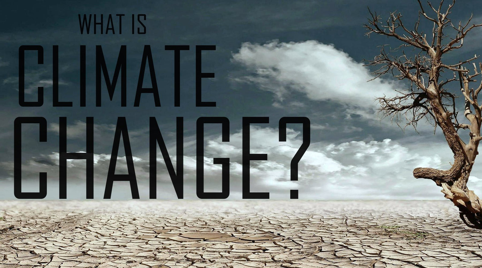 What is Climate Change? - Tee Shop USA