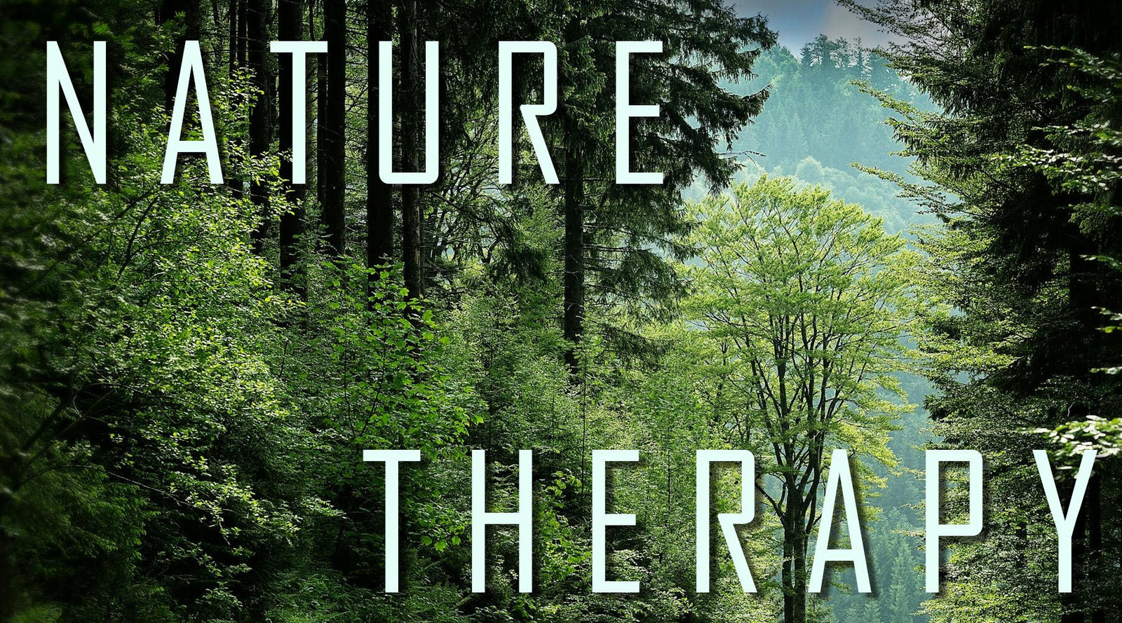 What is Nature Therapy? - Tee Shop USA