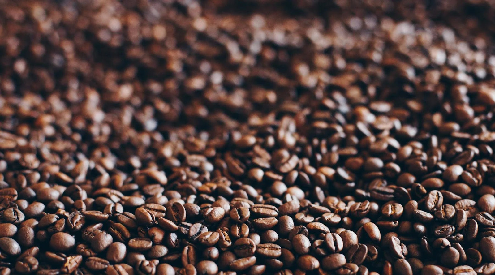 Where Did Coffee Originate? - Tee Shop USA