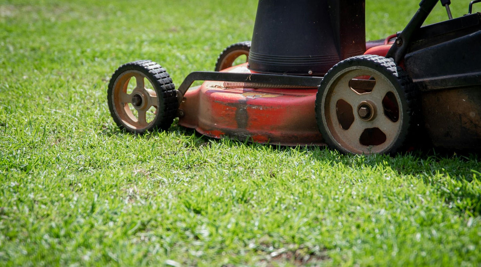 Why Dads Love Mowing Their Lawns - Tee Shop USA