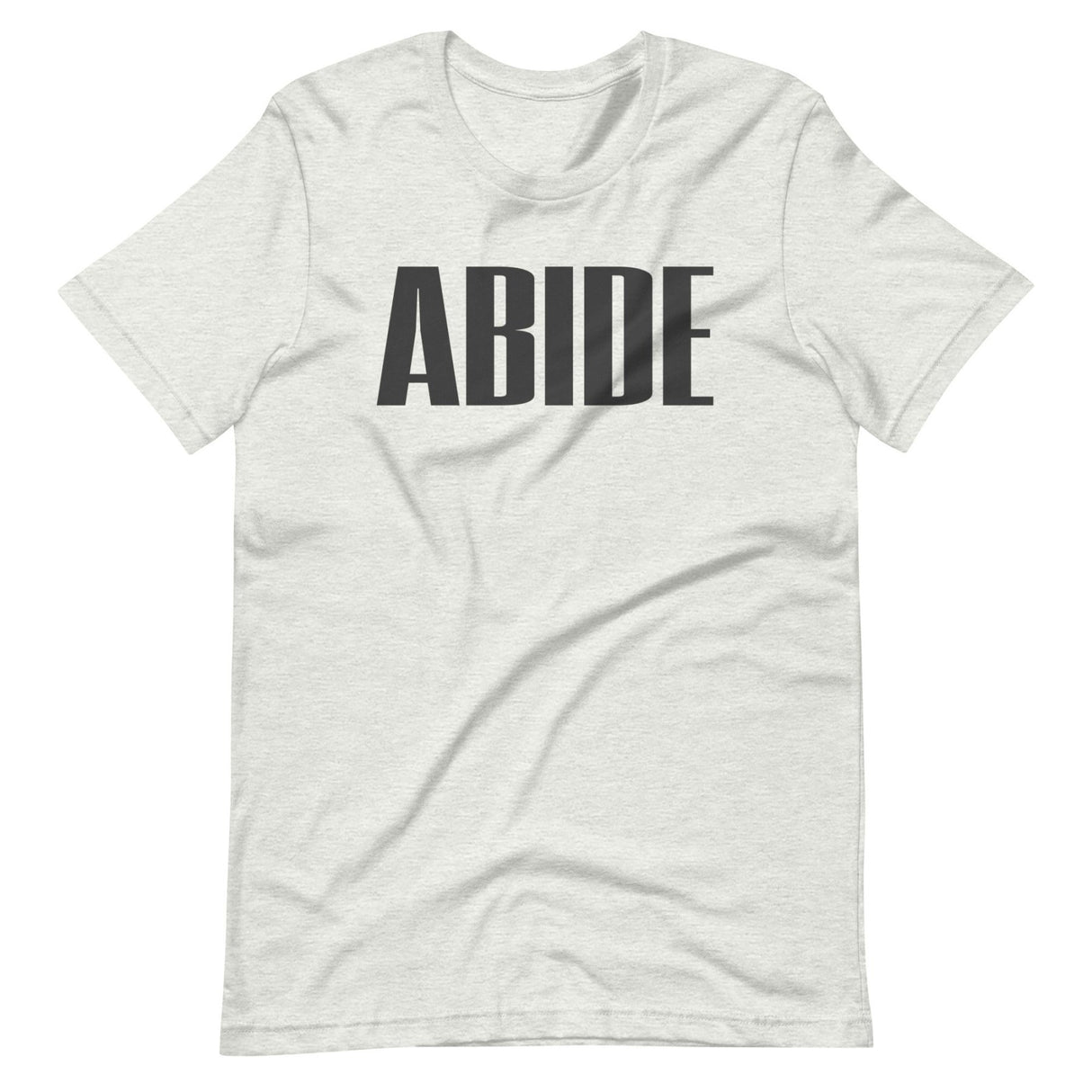 Abide In The Gym Shirt