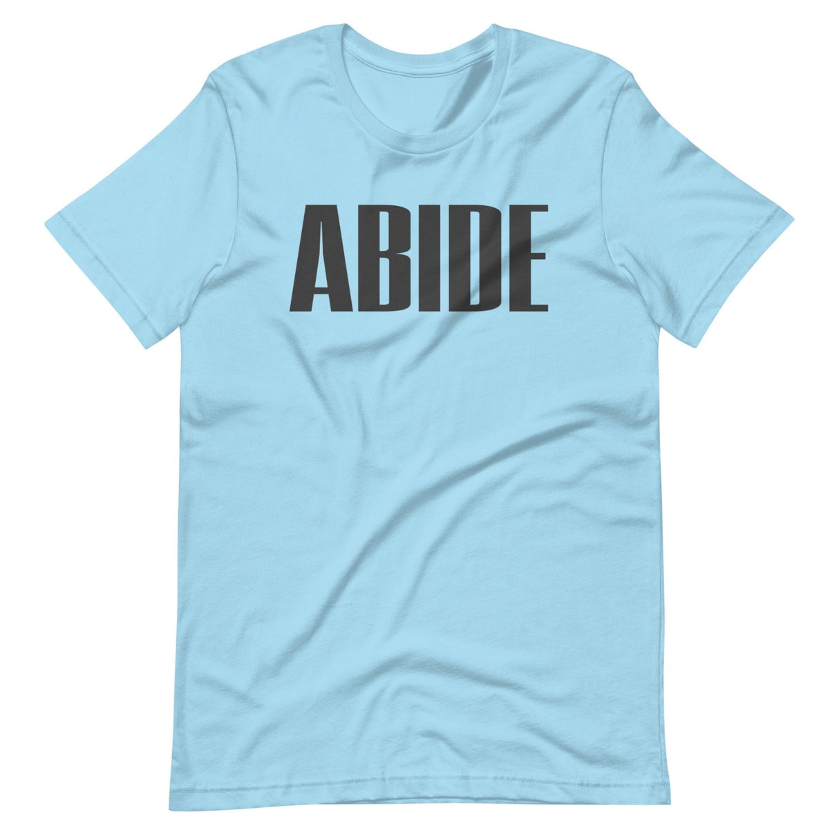 Abide In The Gym Shirt