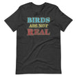 Birds Are Not Real Shirt