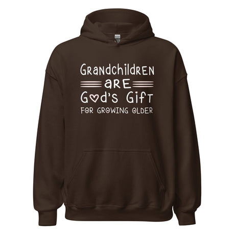 Grandchildren are God's Gift for Growing Older Hoodie