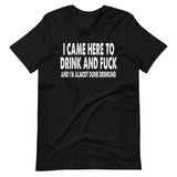 I Came Here To Drink And Fuck Shirt