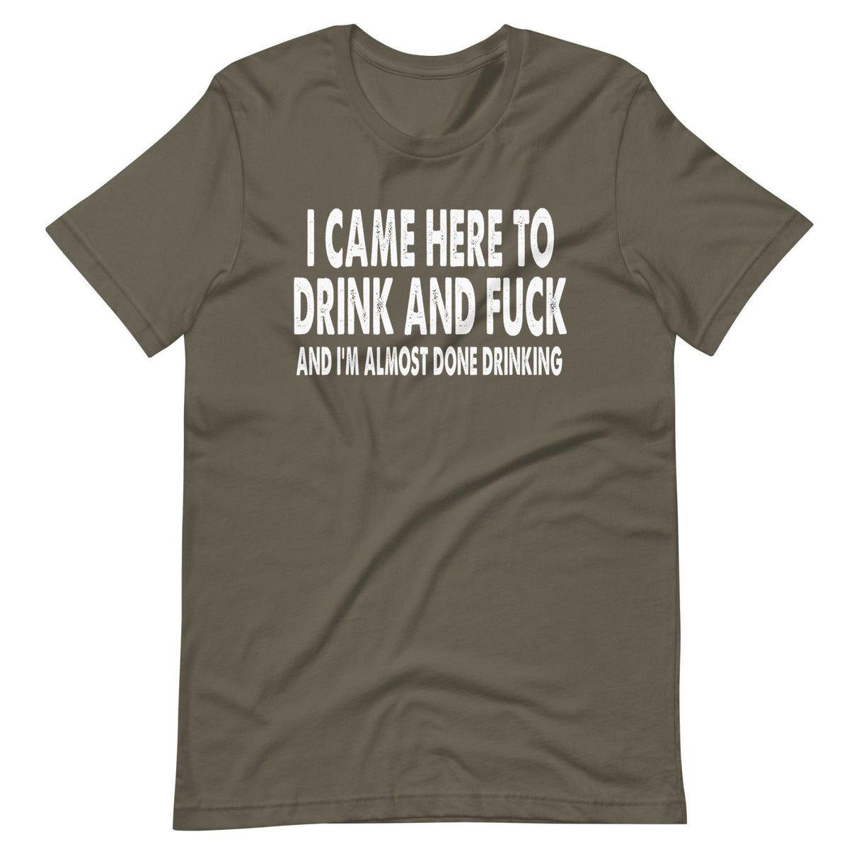 I Came Here To Drink And Fuck Shirt