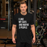 I Like My Cats and Maybe 3 People Shirt