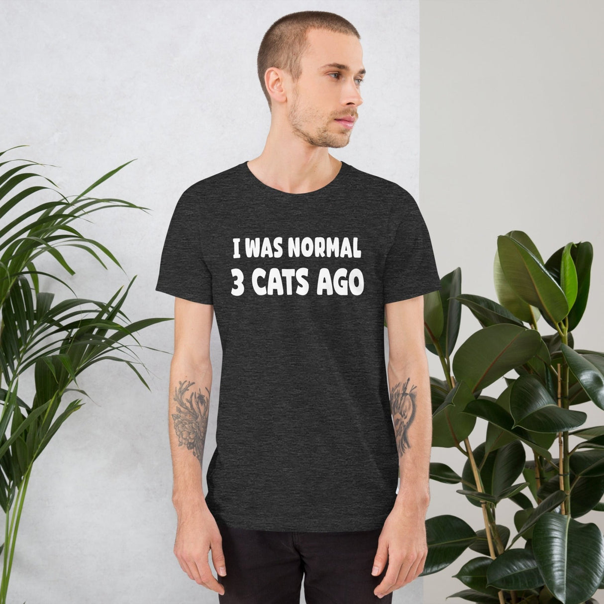 I Was Normal 3 Cats Ago Shirt