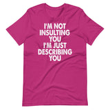 I'm Not Insulting You I'm Just Describing You Shirt