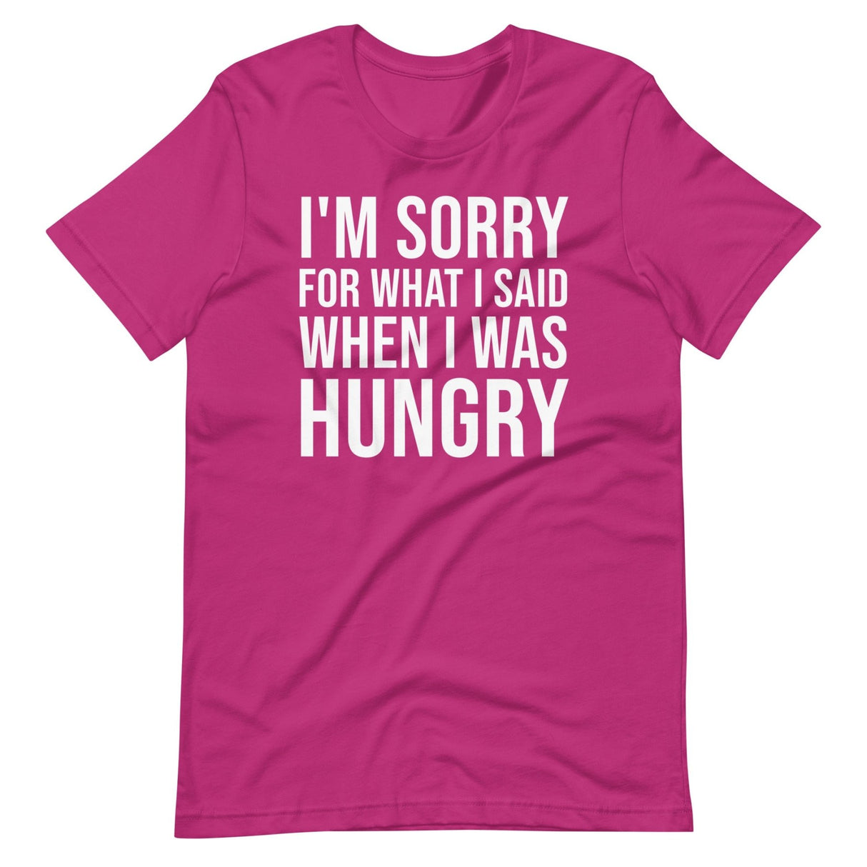 I'm Sorry For What I Said When I Was Hungry Shirt