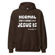 Normal Isn't Coming Back Jesus is Hoodie