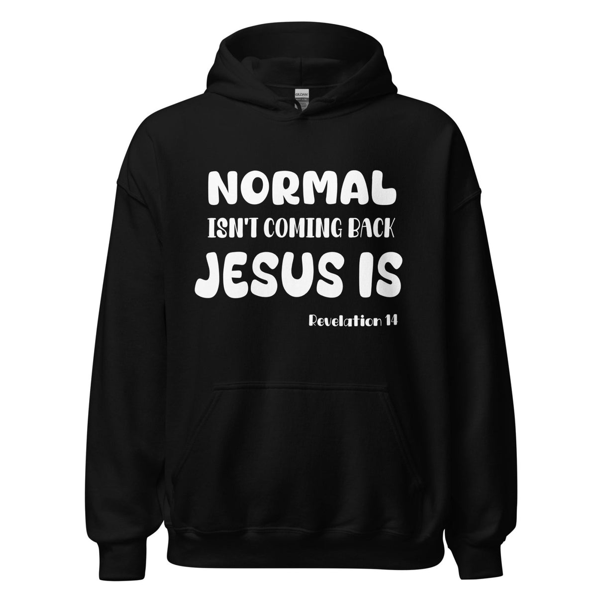 Normal Isn't Coming Back Jesus is Hoodie