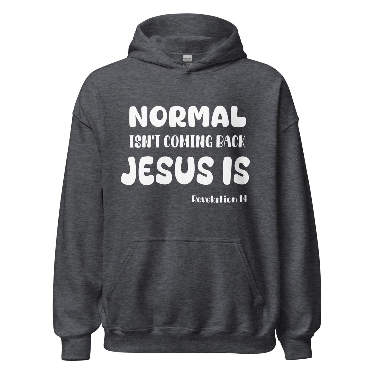 Normal Isn't Coming Back Jesus is Hoodie