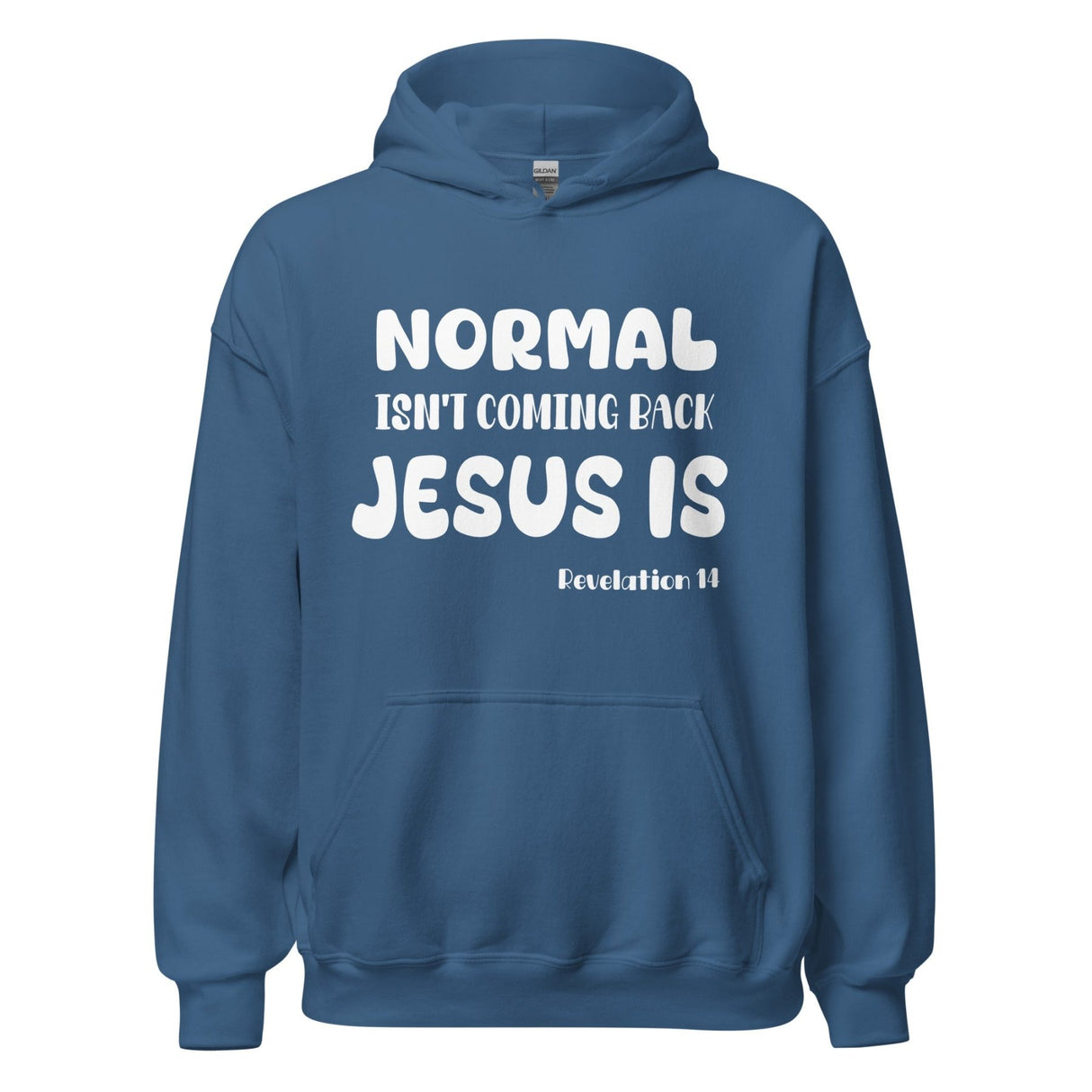 Normal Isn't Coming Back Jesus is Hoodie