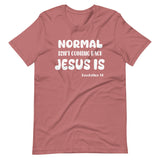 Normal Isn't Coming Back Jesus is Shirt