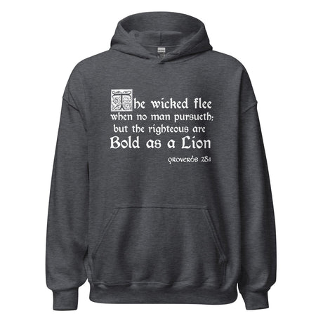 Proverbs 28:1 Hoodie