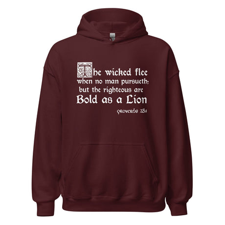 Proverbs 28:1 Hoodie