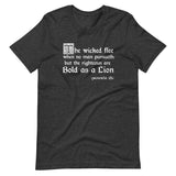 Proverbs 28:1 Shirt