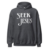 Seek Jesus Hoodie