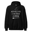 Yes I Can Drive a Stick Witch Hoodie